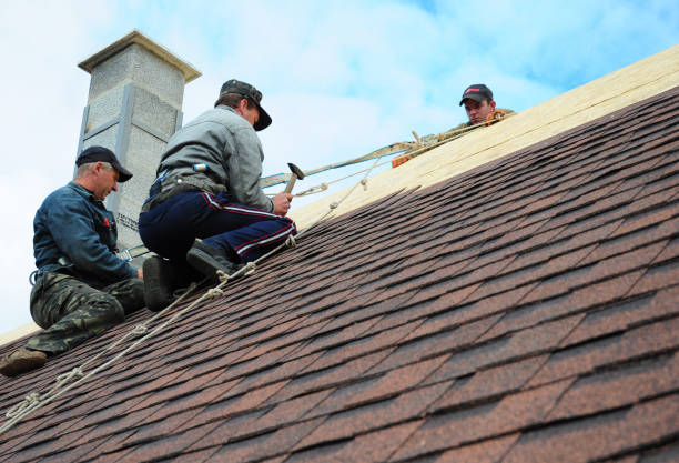 Roof Gutter Cleaning in Sheboygan Falls, WI